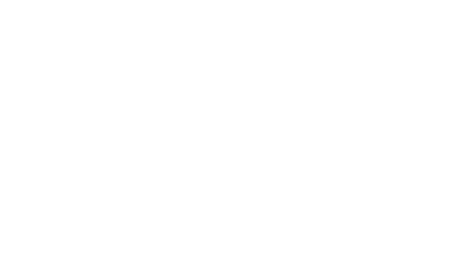 Oldtimer Icon Weiss 600x600